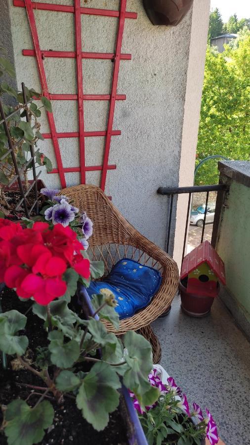 Rentasarajevo Daire Dış mekan fotoğraf